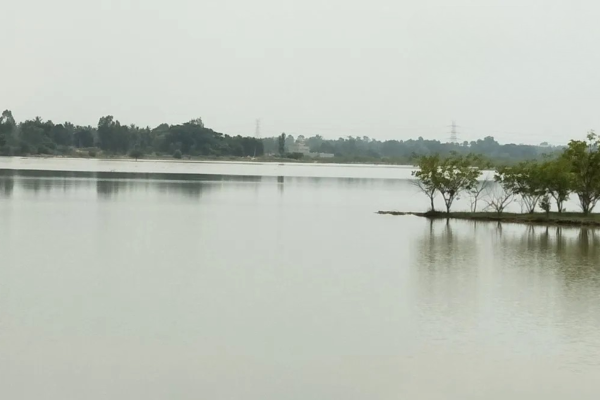 Kotiganahalli Lake Restoration